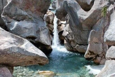 The Stone Groves of Nderlysa